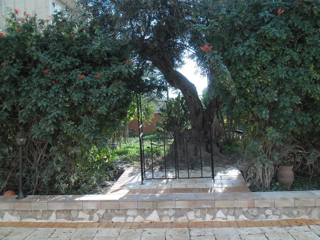Appartamenti سيكوليانا المظهر الخارجي الصورة